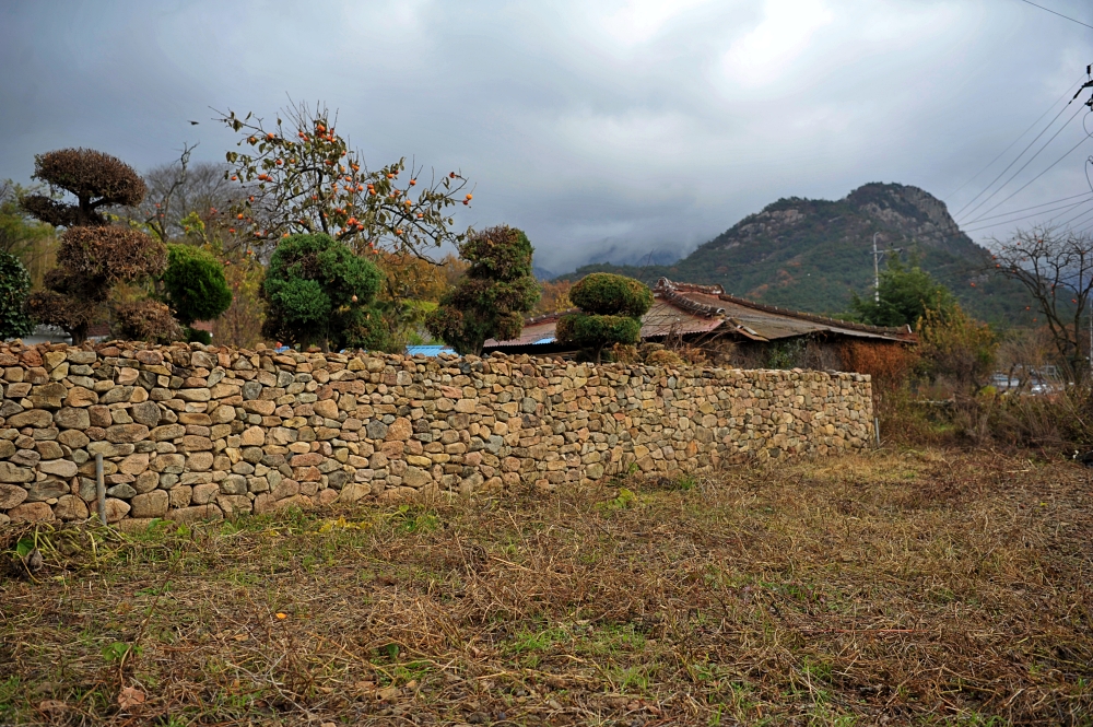 도갑리 죽정마을 돌담길
