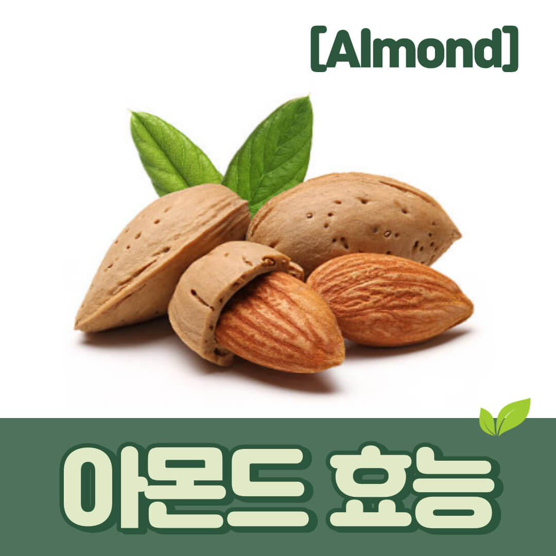 아몬드
