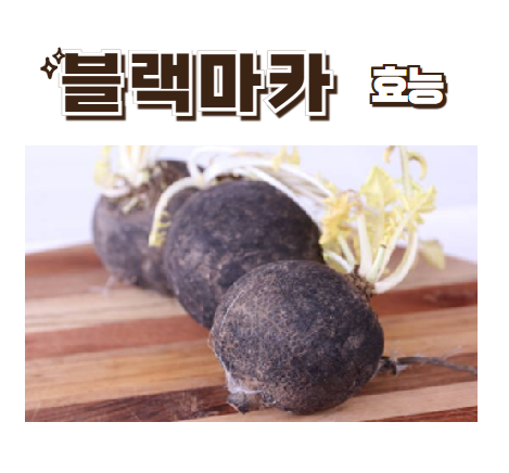 블랙마카 효능