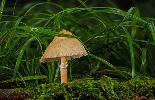 욕실 곰팡이 락스 희석비율과 안전수칙 환기방법_8