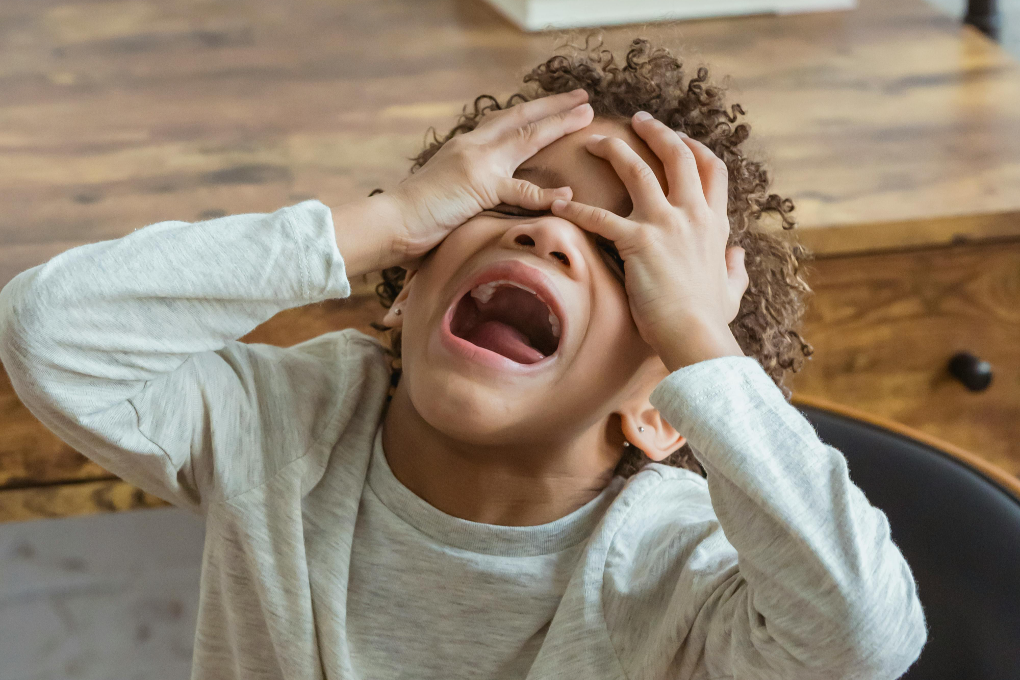 좀비 꿈 설명 이미지