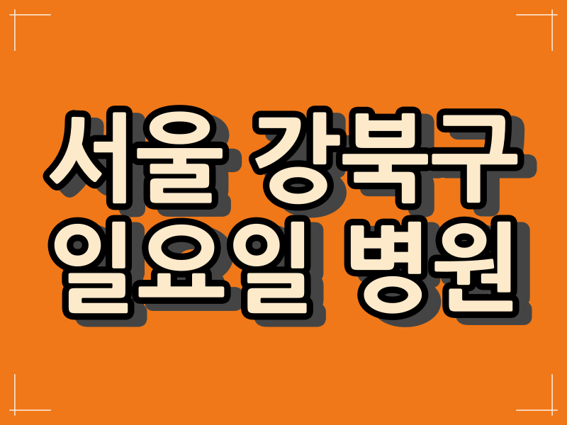 서울 강북구 일요일 진료하는 병원 현황