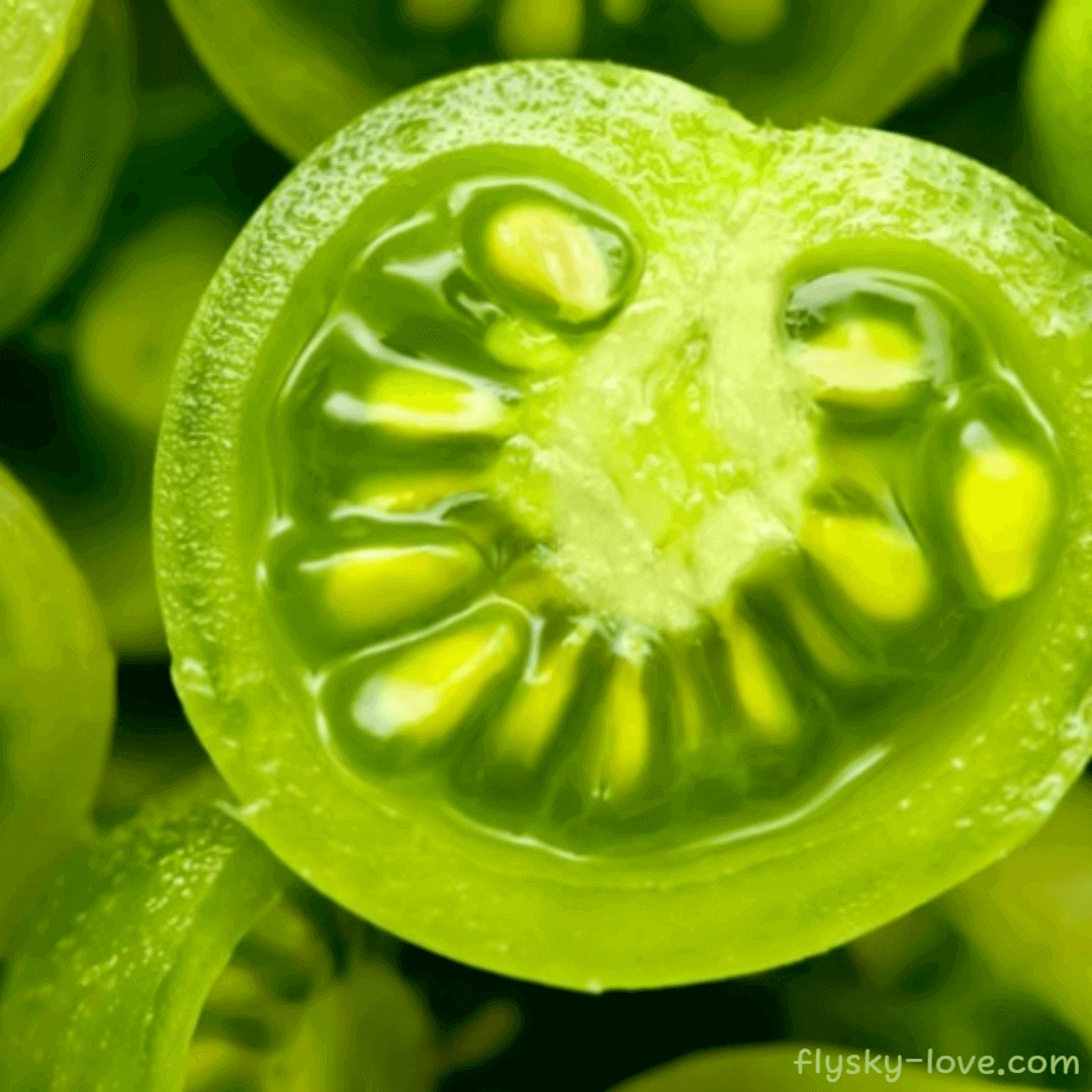 그린 토마토 (Green tomato) 효능