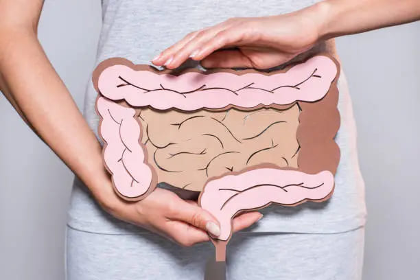 대장암의 원인