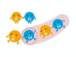 나트륨의 중요성