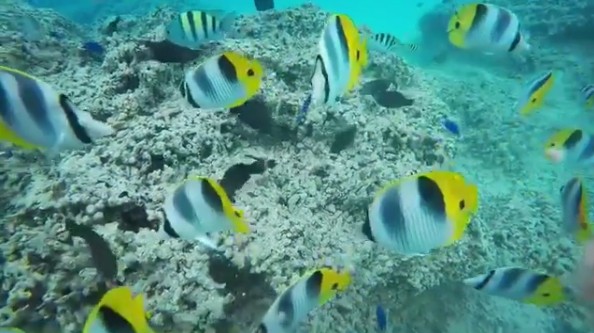 괌액티비티추천