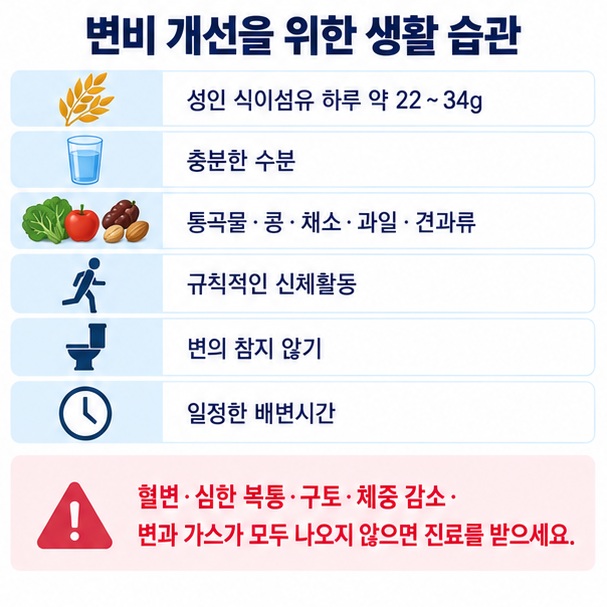 변비 관리에서 충분한 수분 하루 22에서 34그램 식이섬유 운동 배변습관과 진료 신호를 정리한 이미지