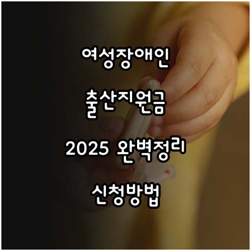 2025 천안시 여성장애인 출산 지원..