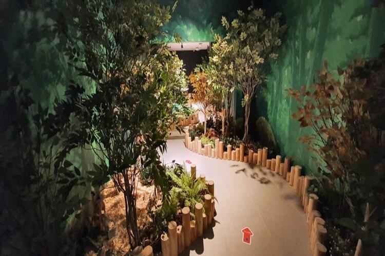 영암곤충박물관