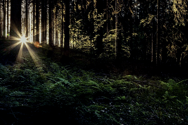 이빨 빠지는 꿈 해몽