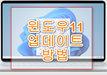 윈도우11업데이트