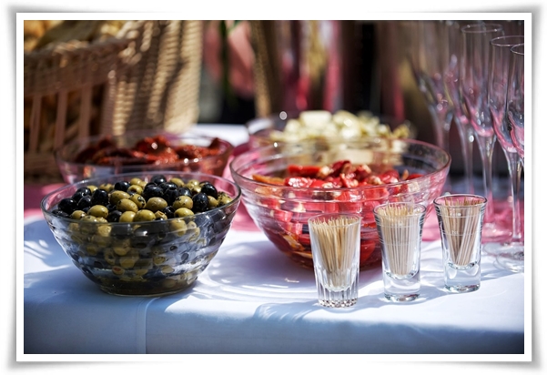 "올리브나무 키우기" 집에서 즐기는 지중해의 향기 정원!