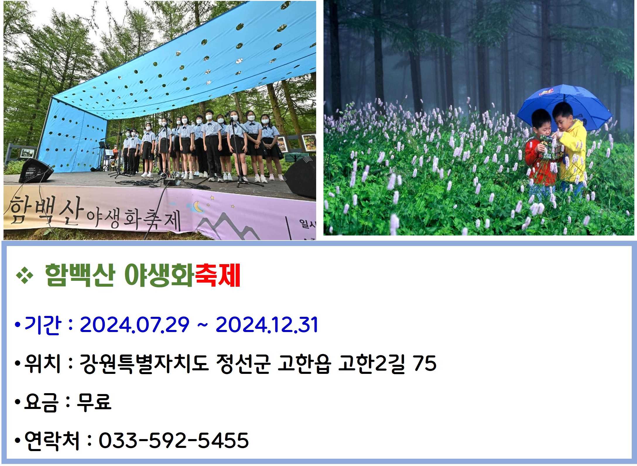 함백산 야생화축제