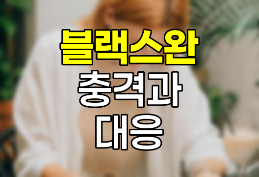 블랙스완의 충격과 대응전략