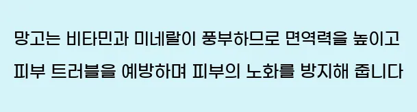  망고는 비타민과 미네랄이 풍부하므로 면역력을 높이고 피부 트러블을 예방하며 피부의 노화를 방지해 줍니다