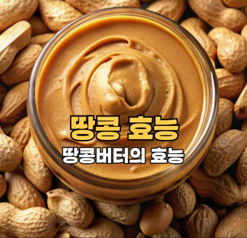 땅콩 효능 땅콩버터 사과 땅콩버터 효능