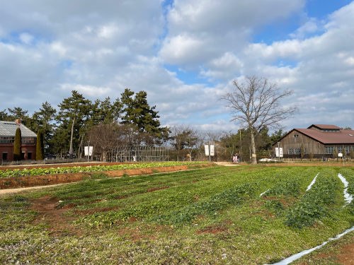 전북 고창 숙박 상하농원 파머스 빌리지 패밀리룸 조식
