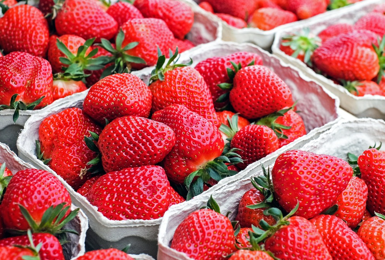 딸기-종류-보관-손질