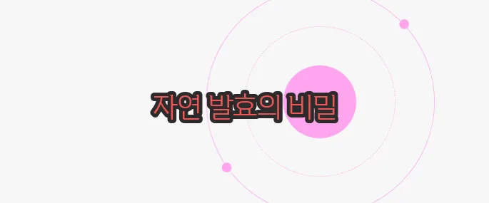 콤부차 효능 궁금한 점, 풀어보죠