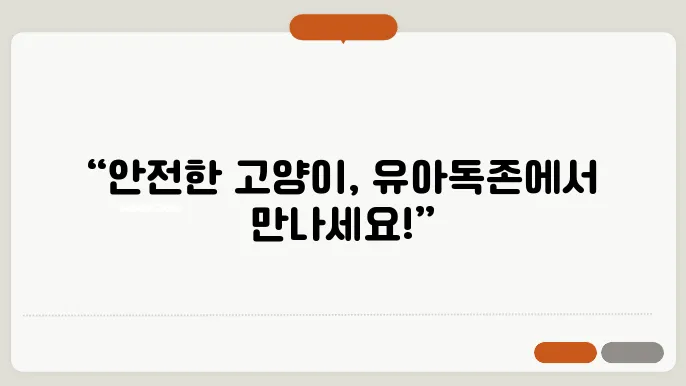 인천고양이분양 안심하고 알아보는 유아독존