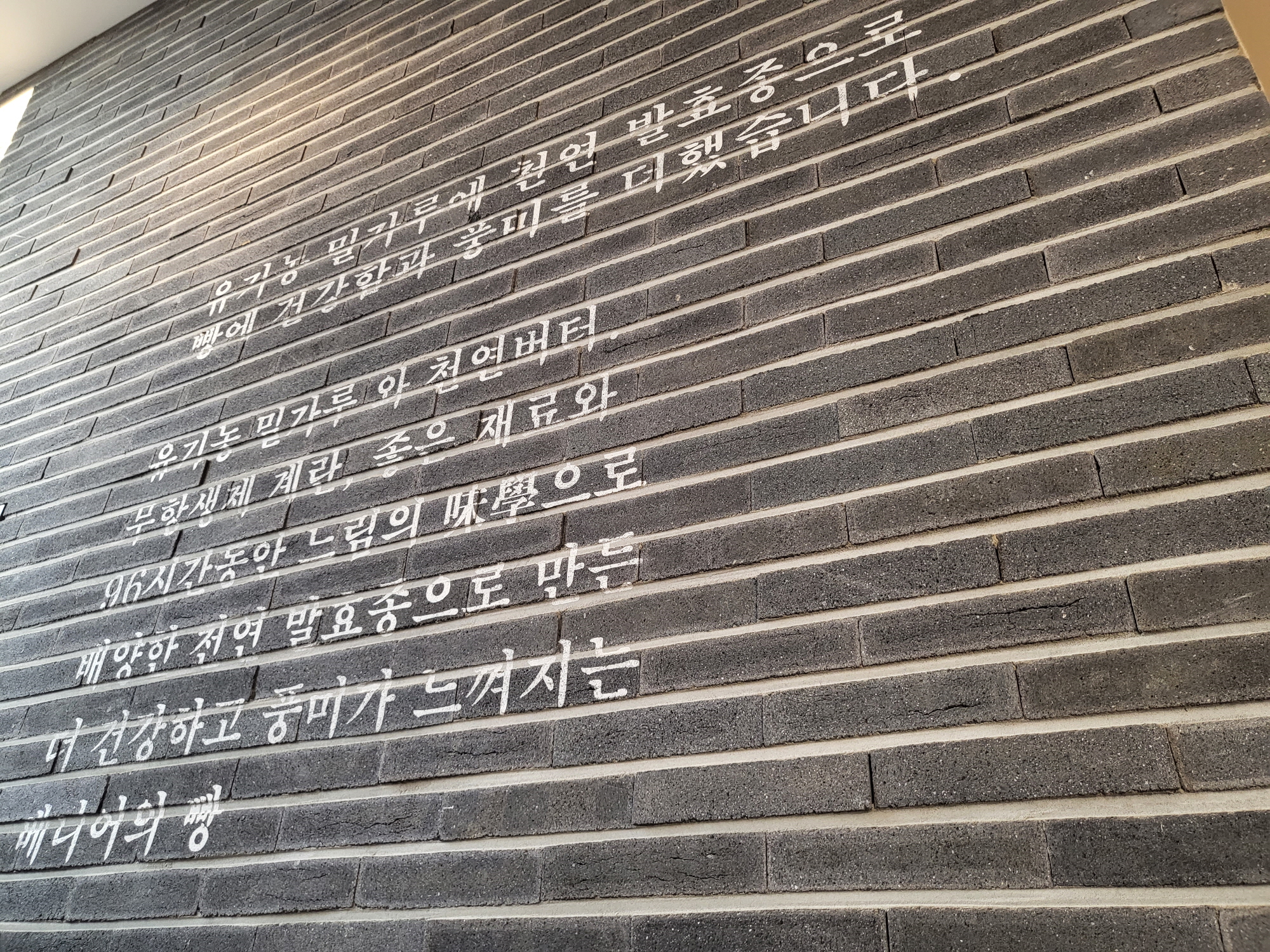 베니어 - 카피
