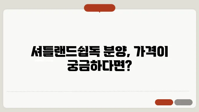 셔틀랜드쉽독 분양가격 알아보기