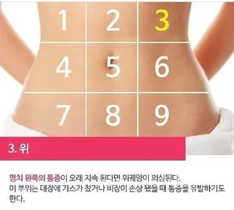 배를 콕콕 찌르는 통증의 8가지 원인 하는법 알아보기로 정리_17