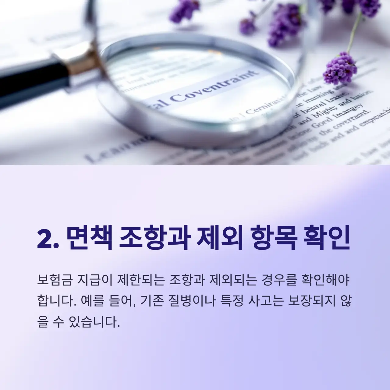 면책 조항과 제외 항목