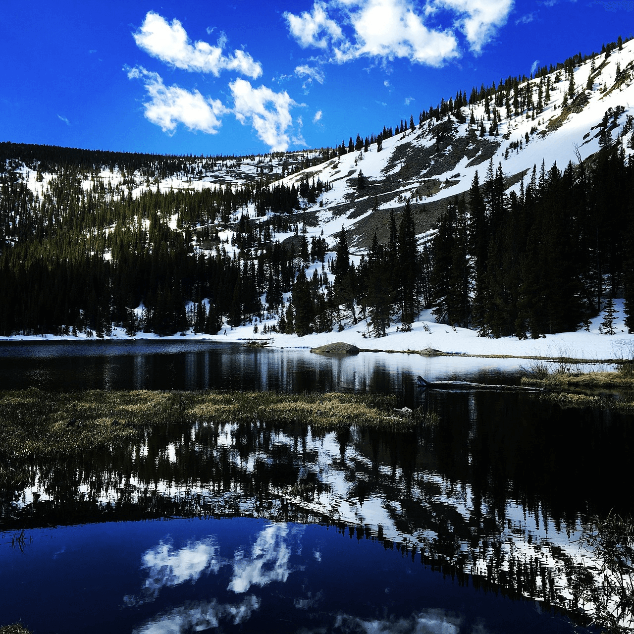 지켜야 할 자연 환경