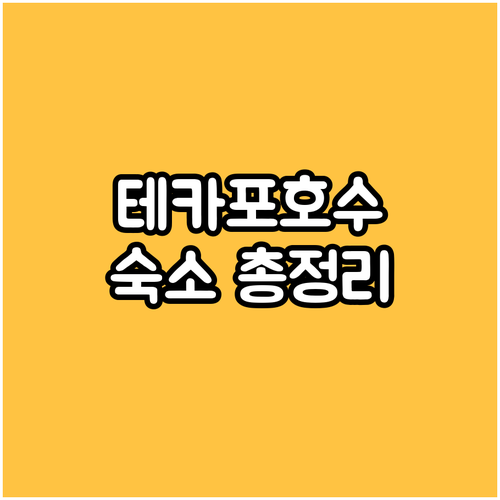 레이크 테카포 갤럭시 부티크 호텔 숙