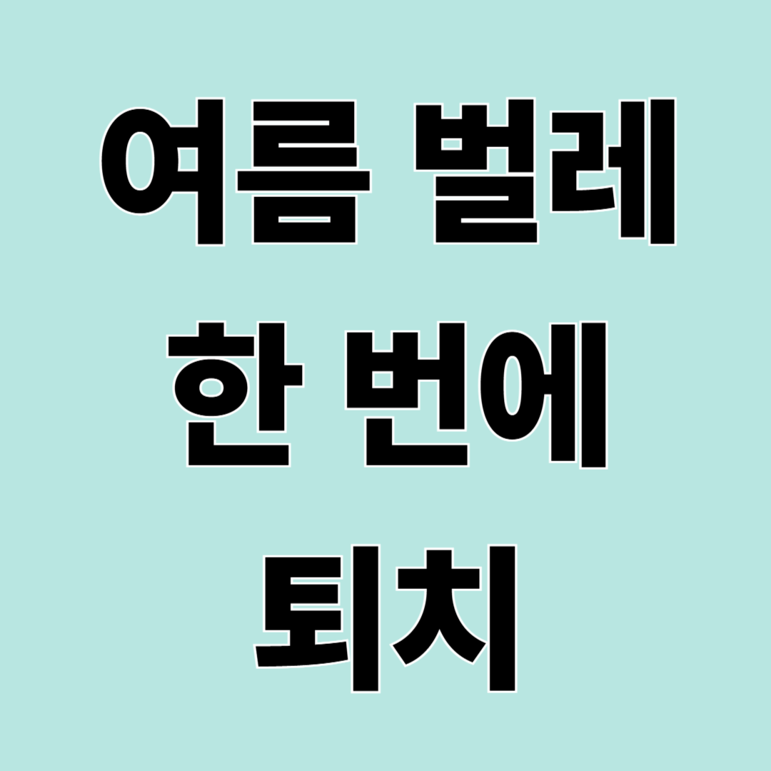 모기·파리·나방파리 퇴치 방법 – 여름 벌레 한 번에 해결하기