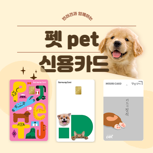 펫-신용카드-총정리