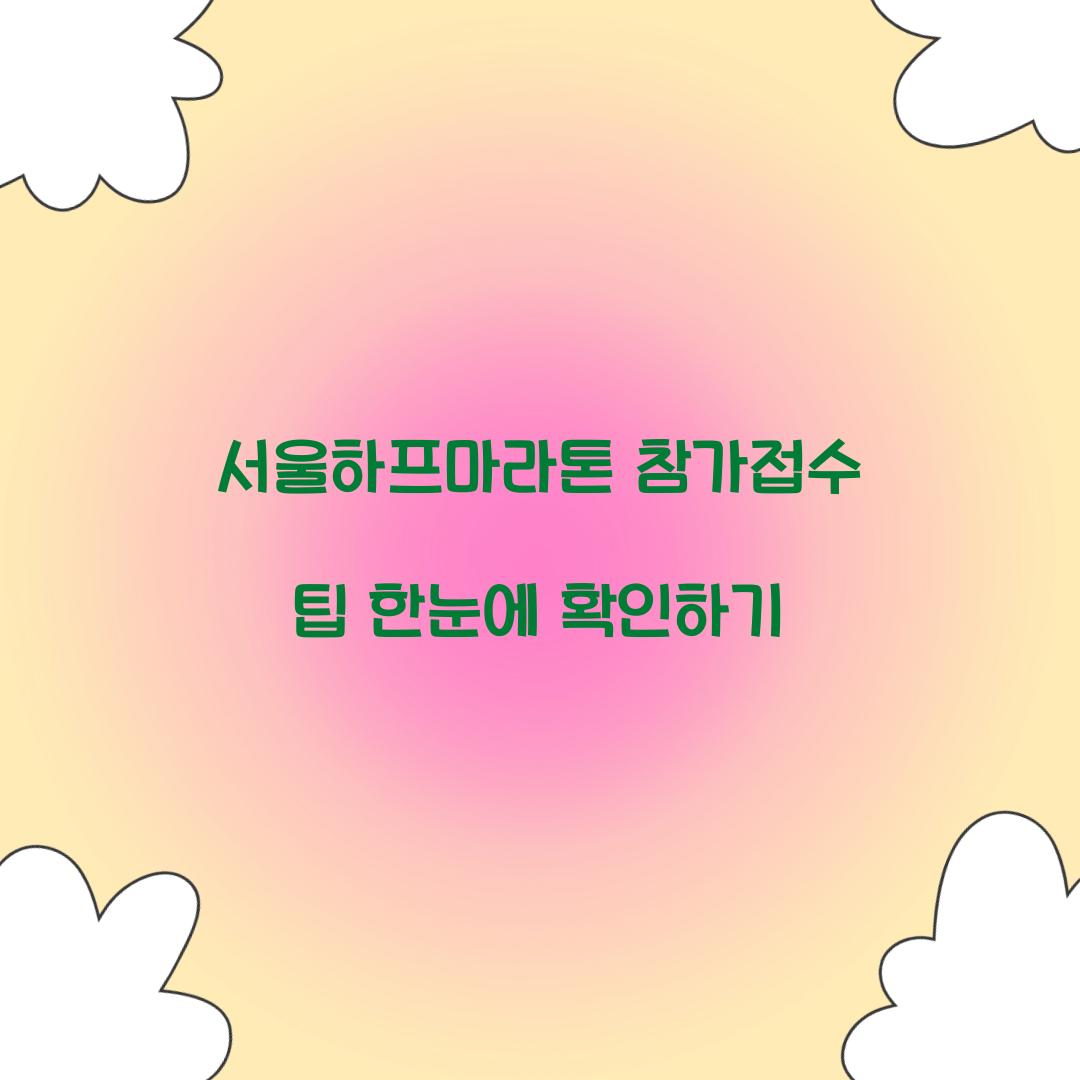 서울하프마라톤 참가접수