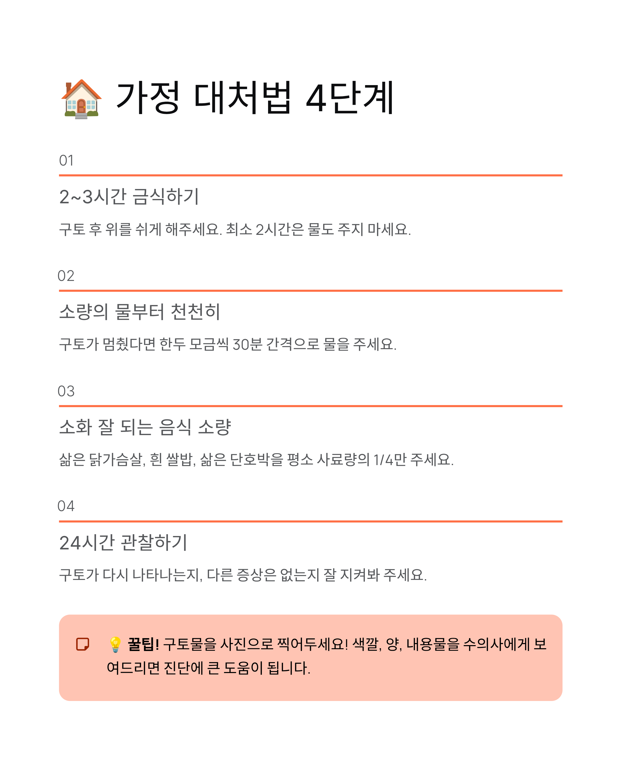 강아지 구토 🐕 색깔만 봐도 알 수 있는 응급상황 완벽 가이드