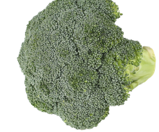 키 자라날 때 좋은 음식