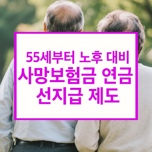 사망보험금 연금 선지급 제도 안내