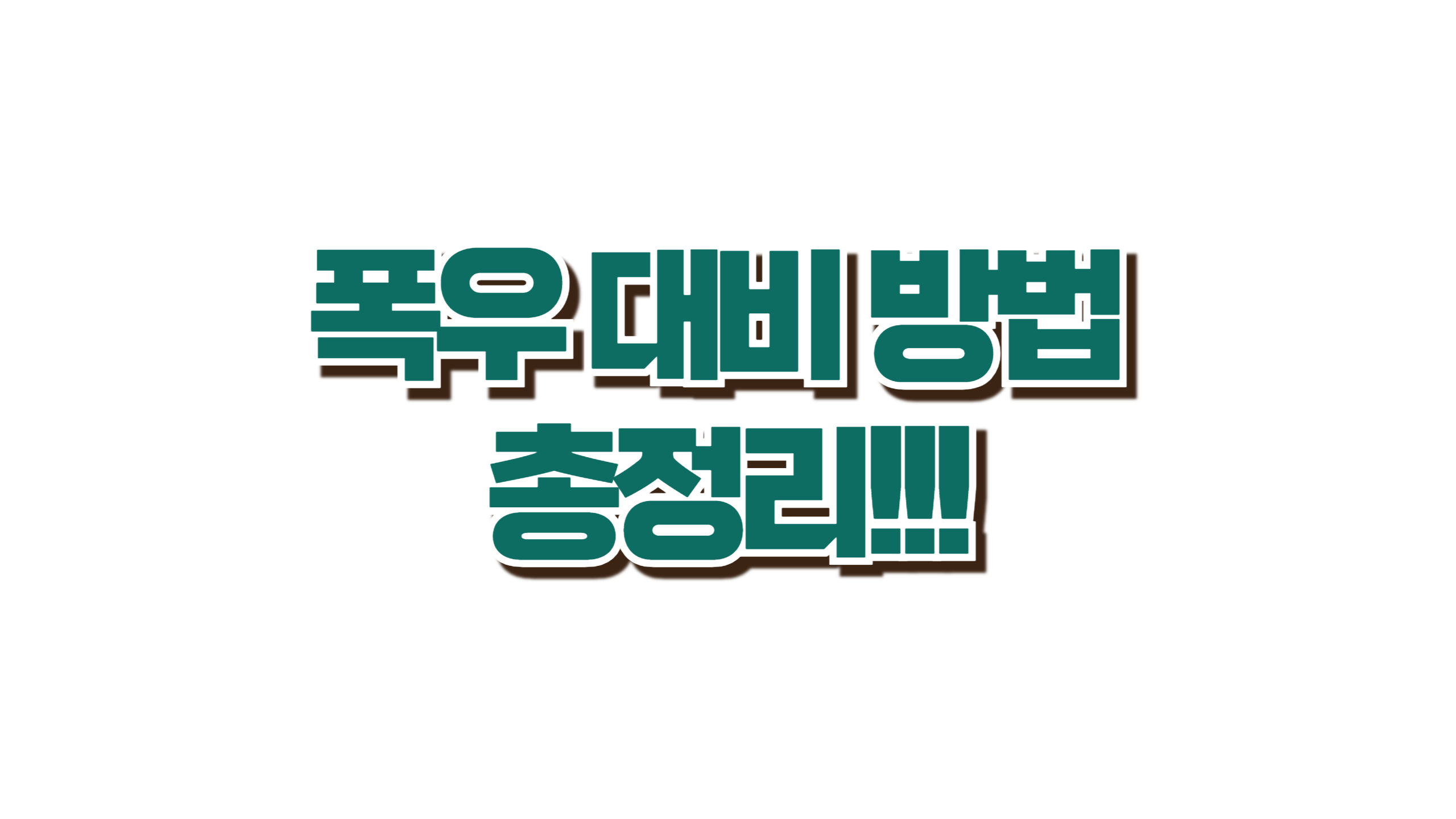 폭우 대비 방법 총정리 사진