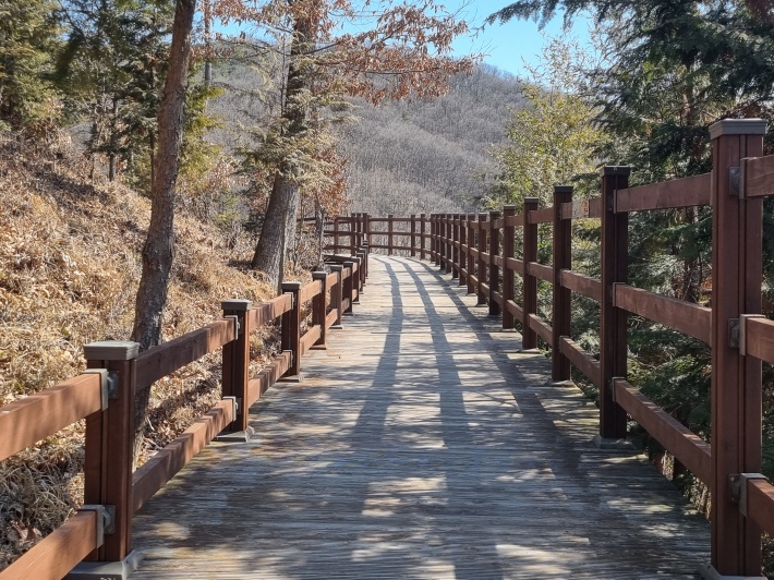 산책로