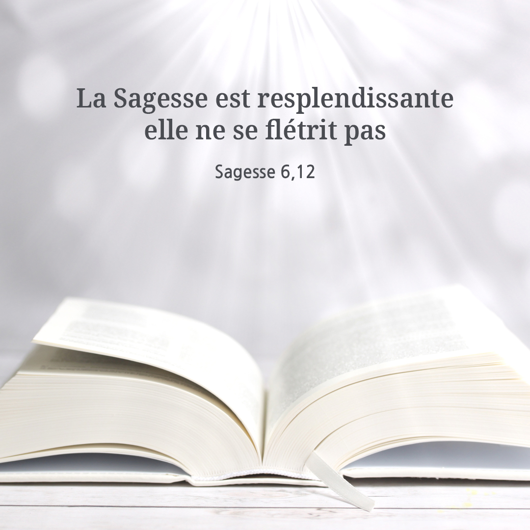 La Sagesse est resplendissante, elle ne se fl&eacute;trit pas. (Sagesse 6,12)