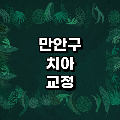 안양 만안구 교정 치과