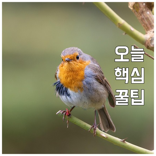 내 가전제품도 무료? 중구 대형폐기물..