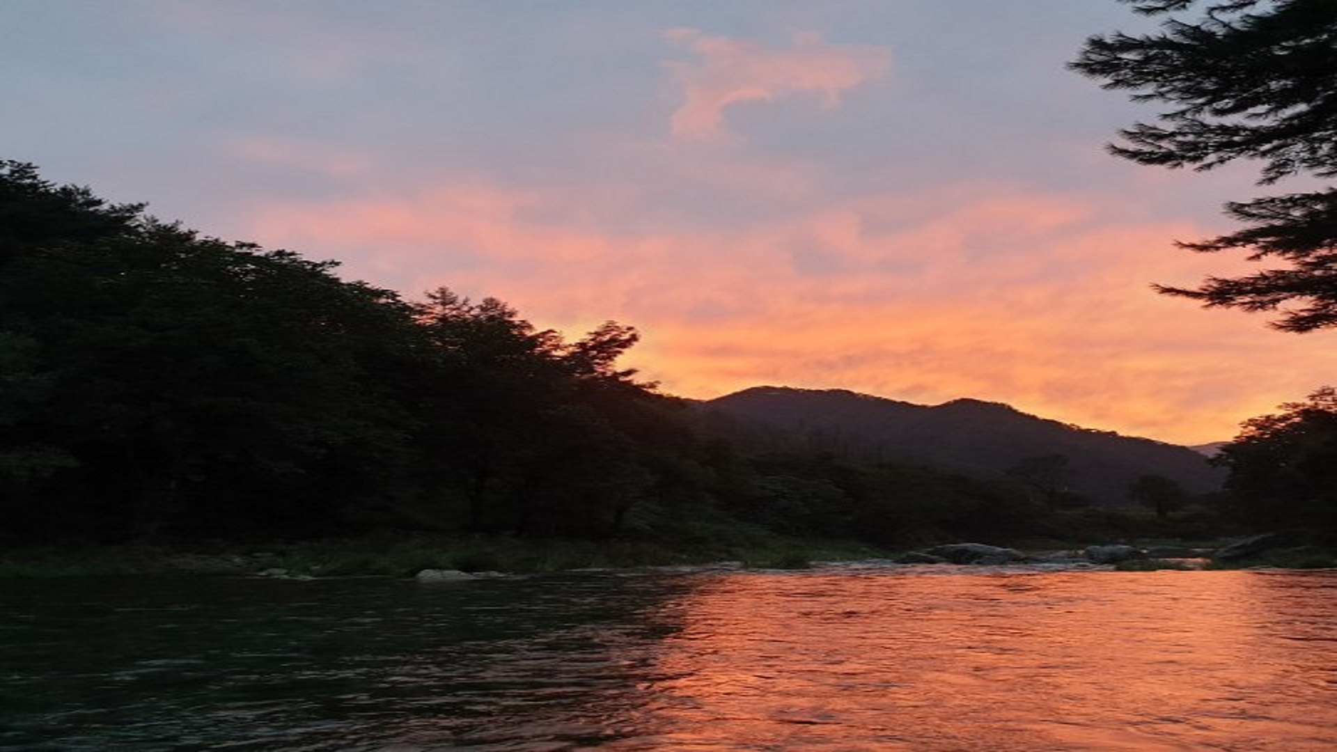 영월군 느티나무 캠핑장 예약 바로가기