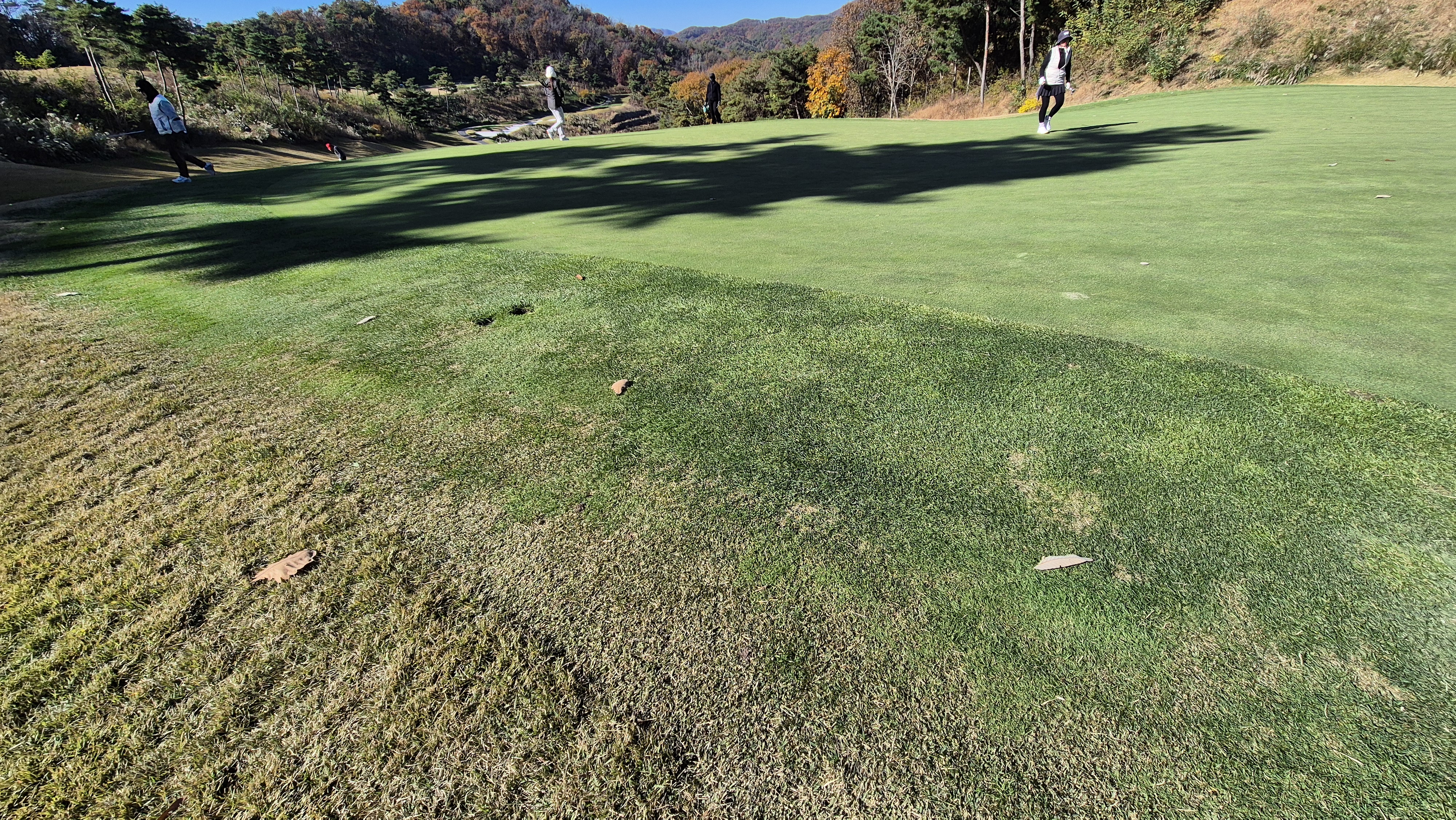 레이캐슬cc 그린관리상태