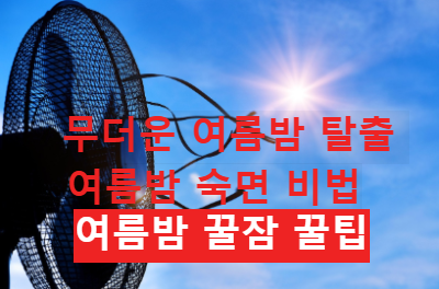 열대야 탈출 무더운 여름밤 숙면은 가능한가? 열대야 속 꿀잠의 비결 여름밤 숙면 돕는 허브티 활용법!