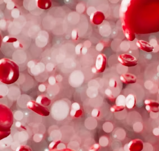 고지혈증에 좋은 음식 나쁜 음식