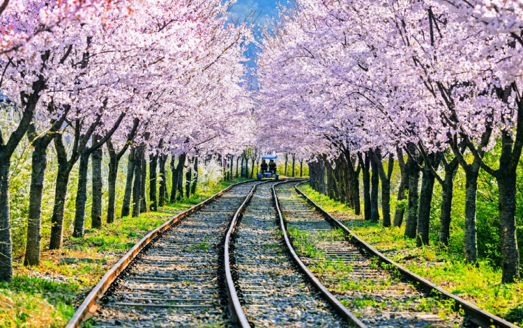 가평 레일바이크