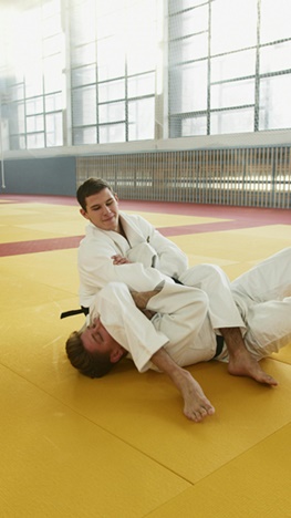 삼보 가이드 4탄, 초보자 기본기술