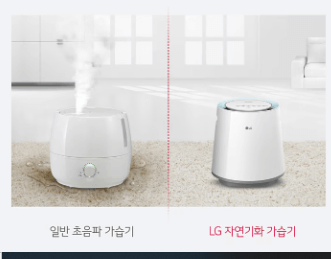 겨울 가습기 추천
