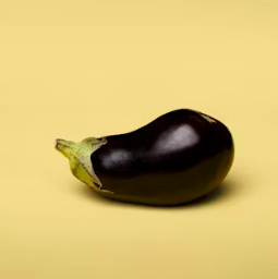 가지 효능 놀라운 9가지 부작용 고르는법 칼로리