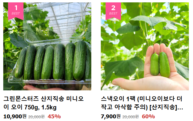 6시내고향 충남 보령 벼루 오이 주꾸미 축제 청보리밭 관련 정보